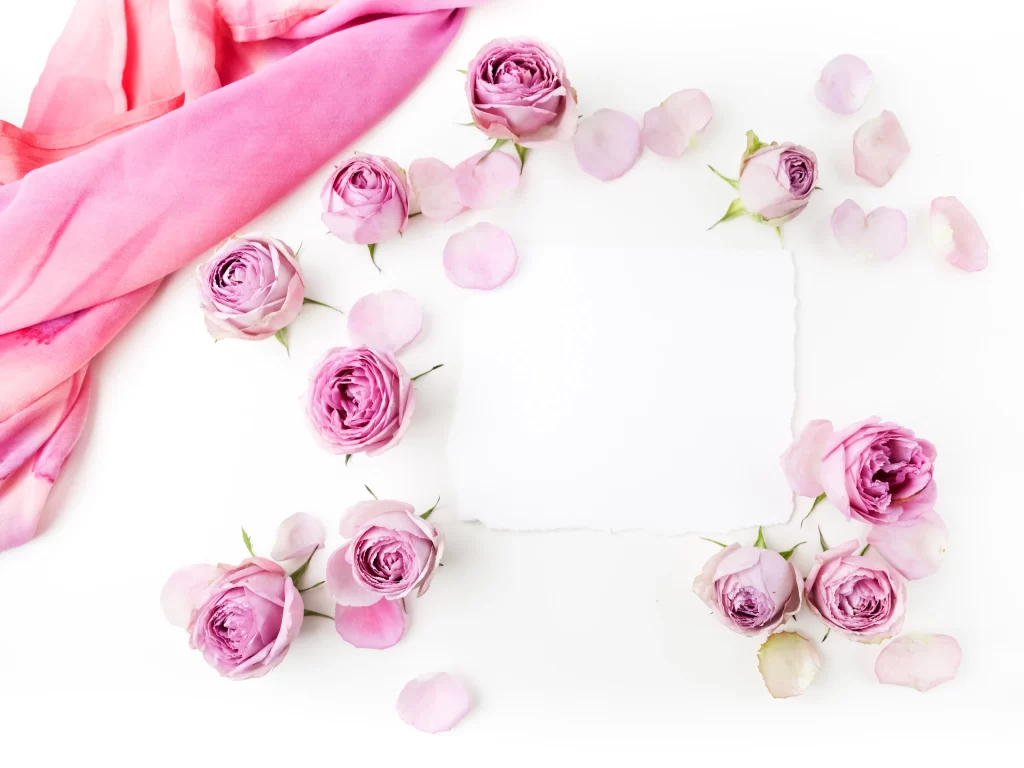 Pink Rose Flower Petal Soft Fabric White Background
