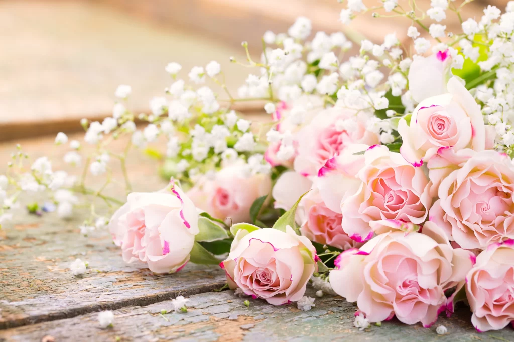 Pink Rose Flower Petal White Babys Breath