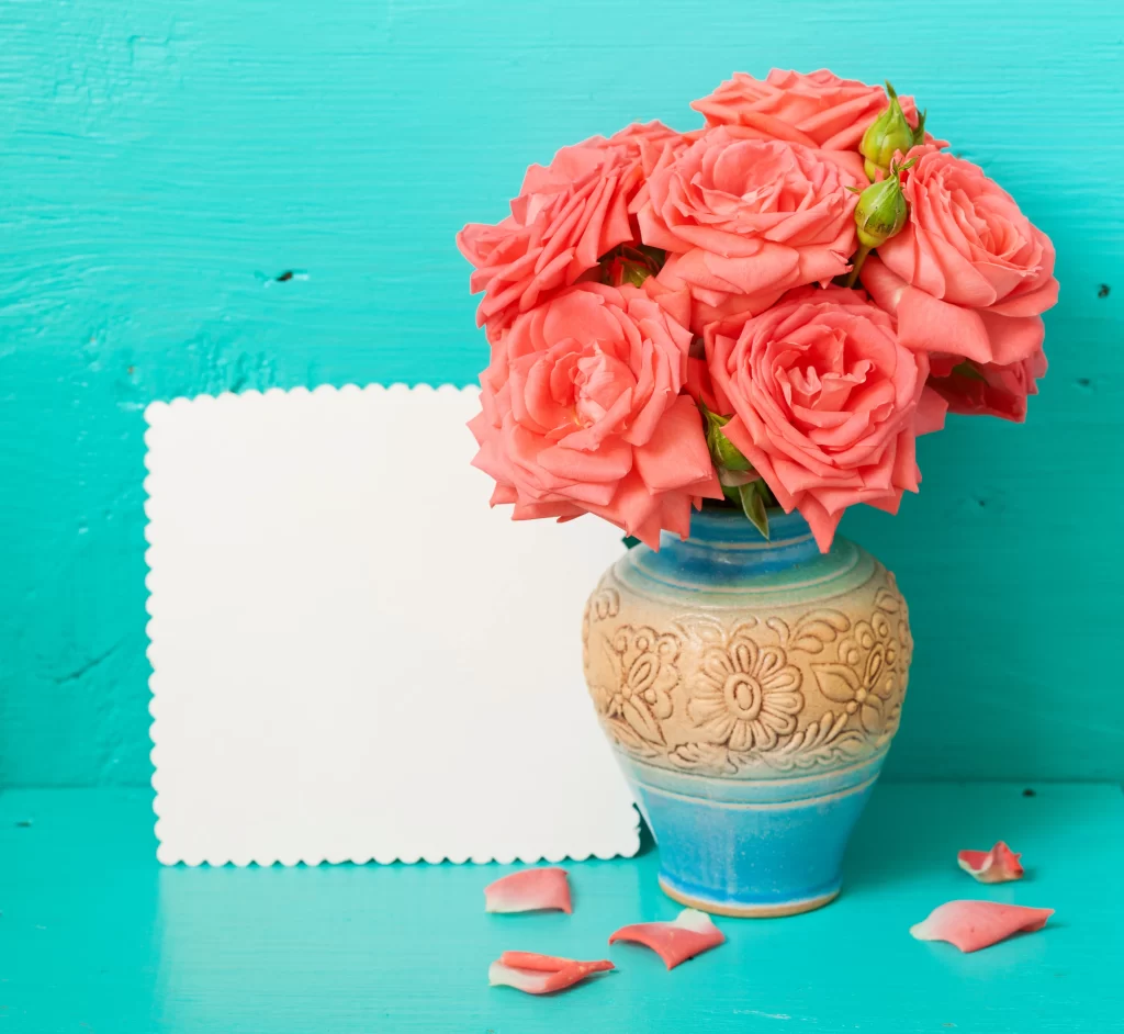 Pink Rose Flower Vase Petals Blue neutral Background