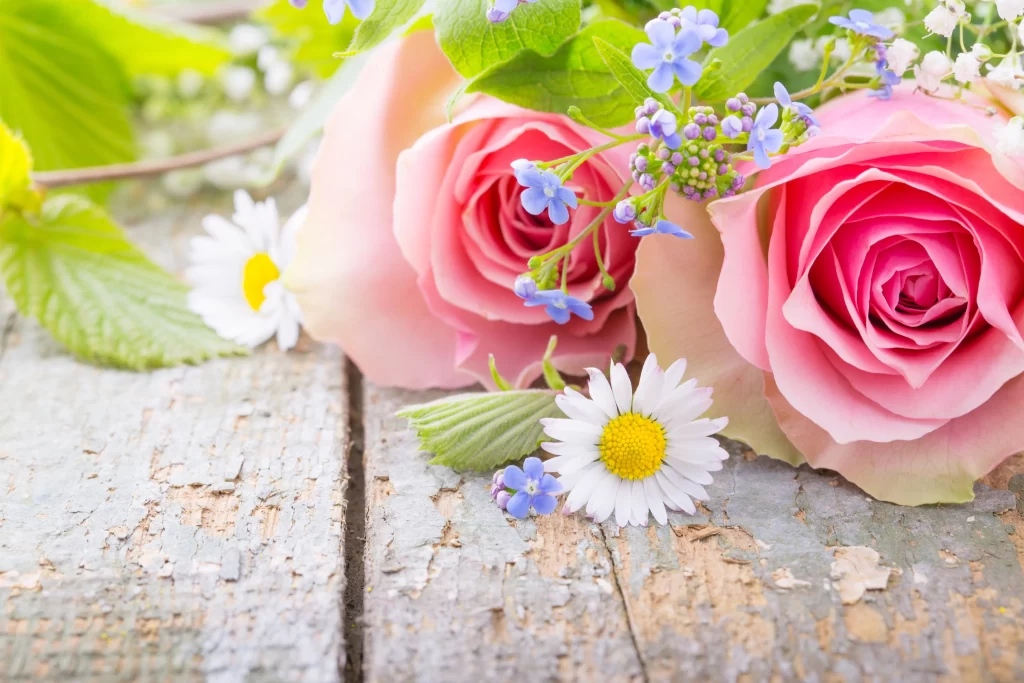 Pink Rose Flower White Daisy Blue Blossom Green Leaf