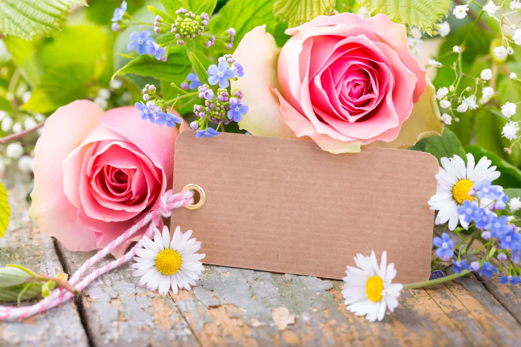 Pink Rose Flower White Daisy Blue Blossom Green neutral Leaves