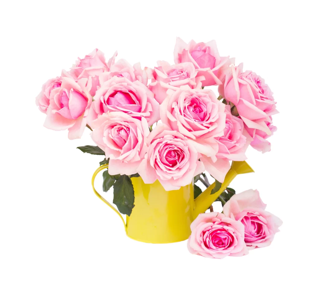 Pink Rose Flower Yellow Vase