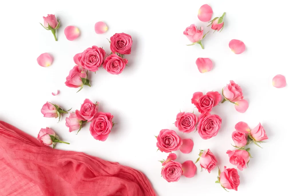 Pink Rose Petal Soft Fabric White Background
