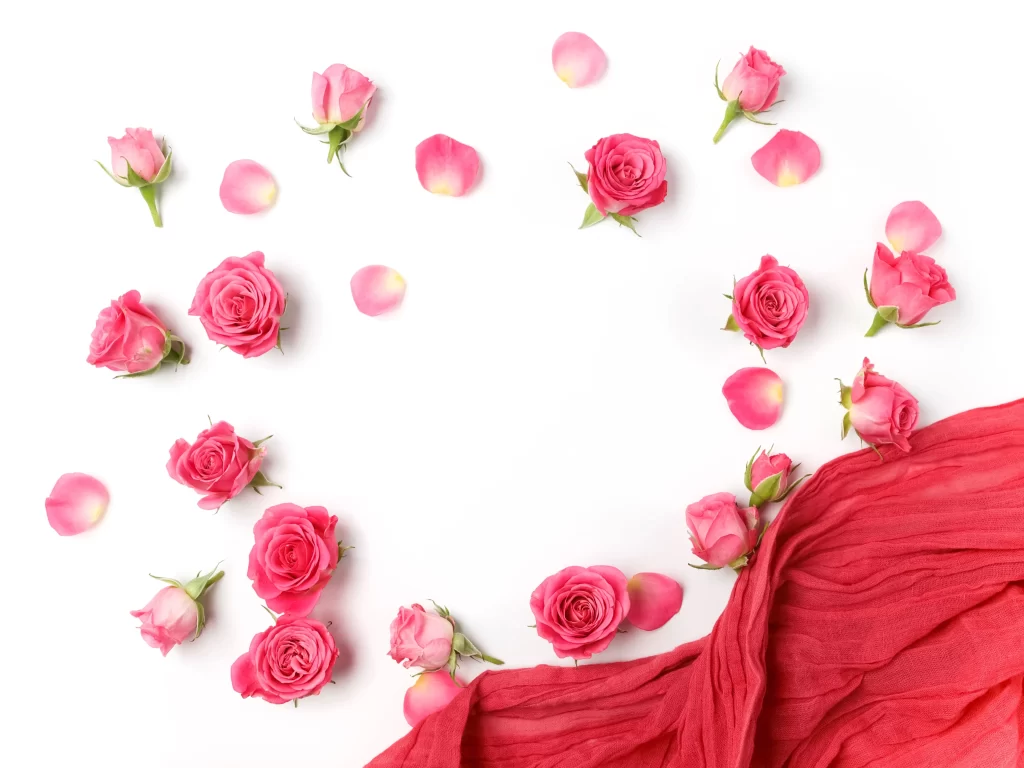 Pink Rose Petal Soft Fabric White neutral Background