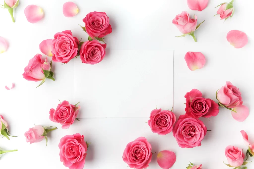 Pink Rose Petal White Card