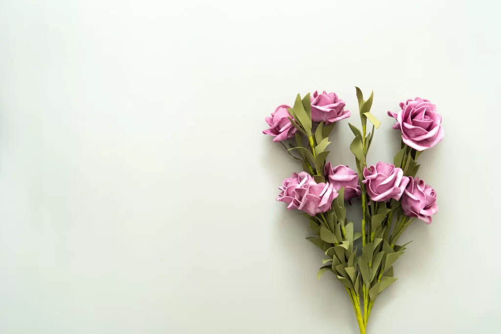 Pink Rose Petals Green Leaves White Background