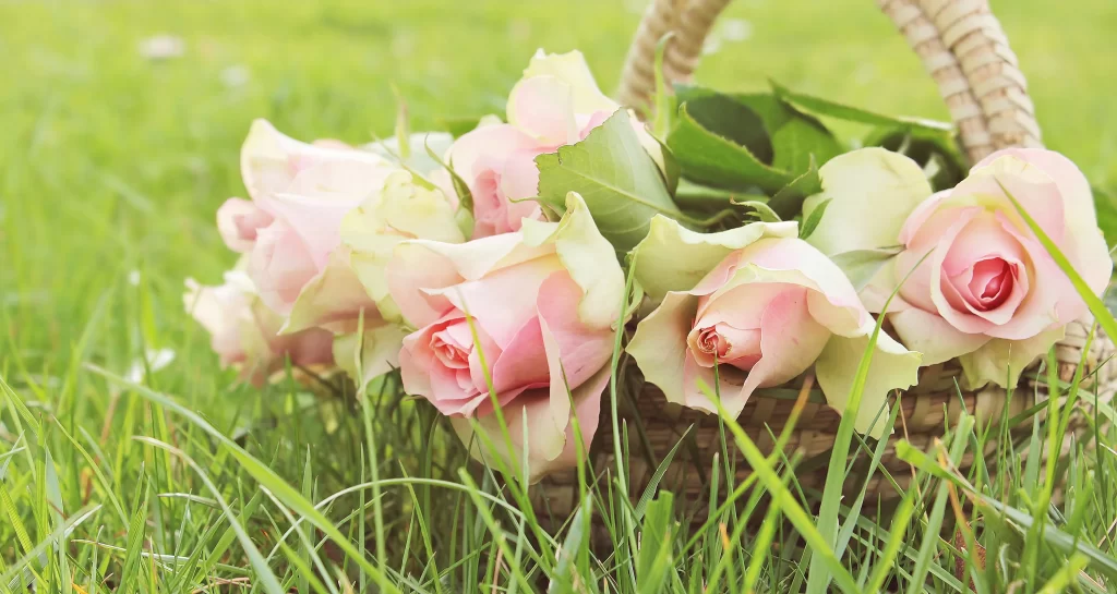 Pink Rose Petals Green Leaf Grass Basket