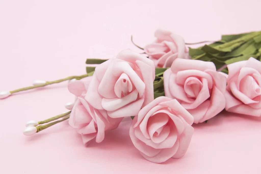 Pink Rose Petals Green Stem White Background