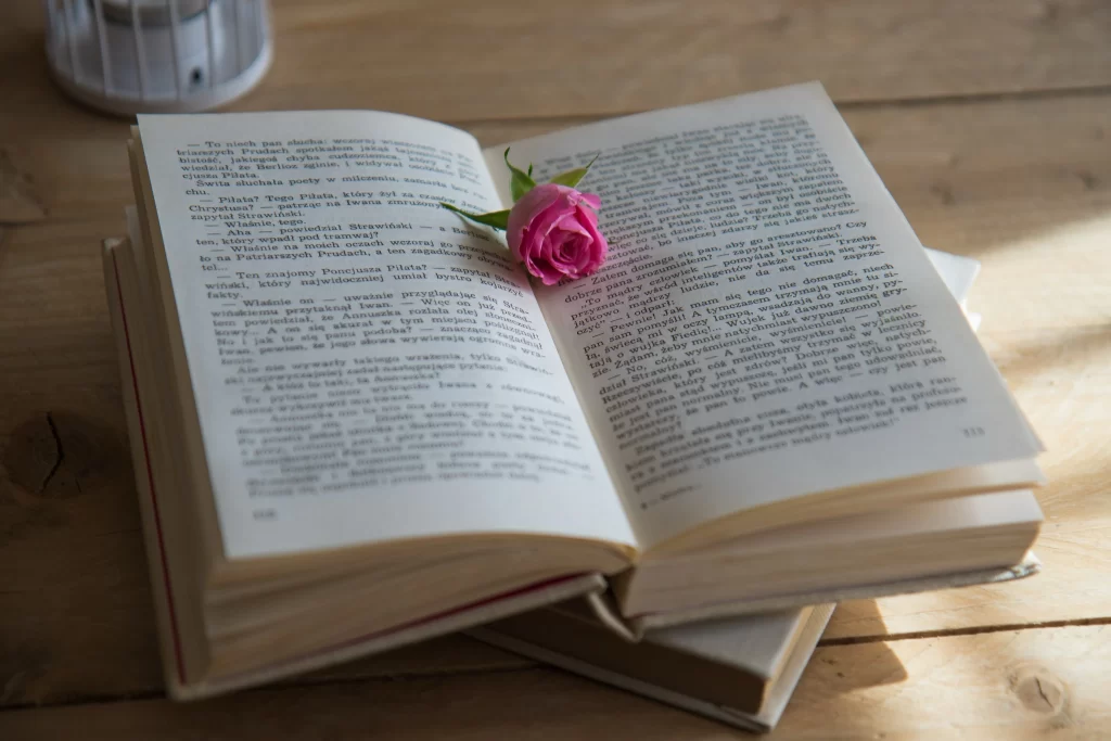 Pink Rose Petals Green Stem Book Pages