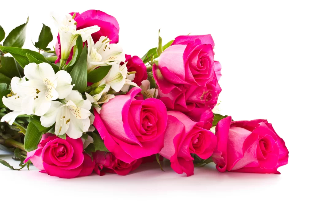Pink Rose White Alstroemeria Green Leaves