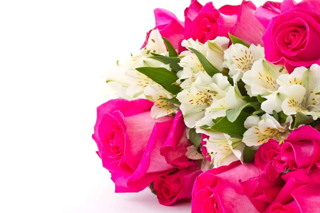 Pink Rose White Alstroemeria Flower Petal Colorful Bouquet
