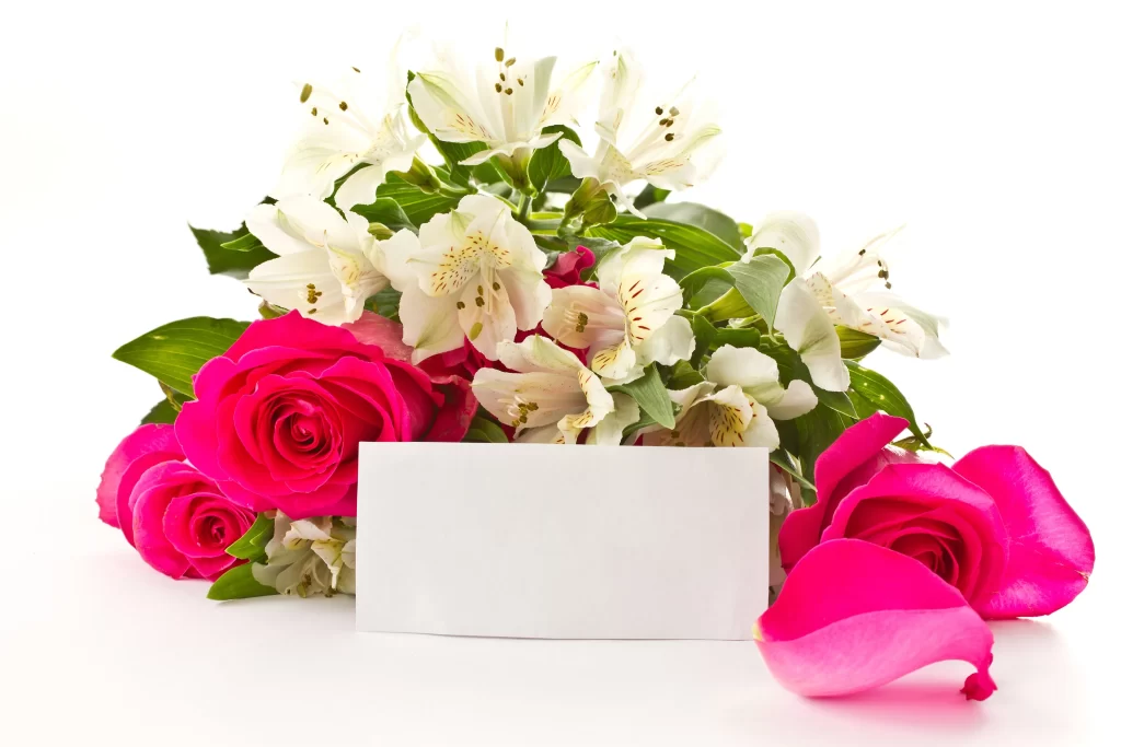 Pink Rose White Alstroemeria Flower Petal
