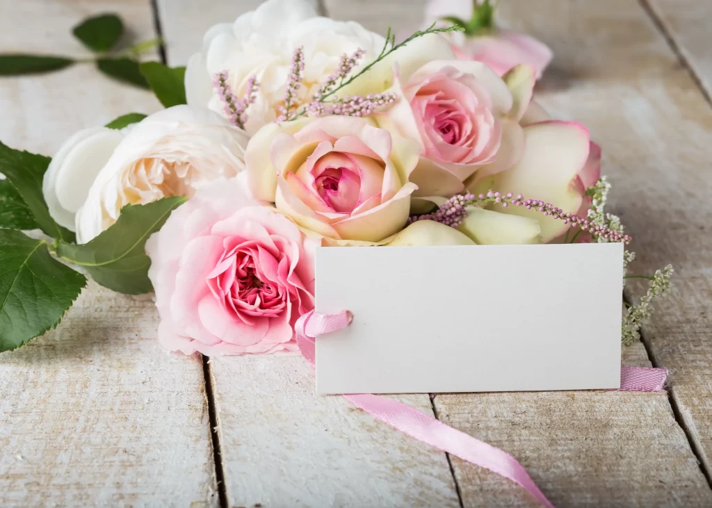 Pink Rose White Rose Flower Petal Card Ribbon