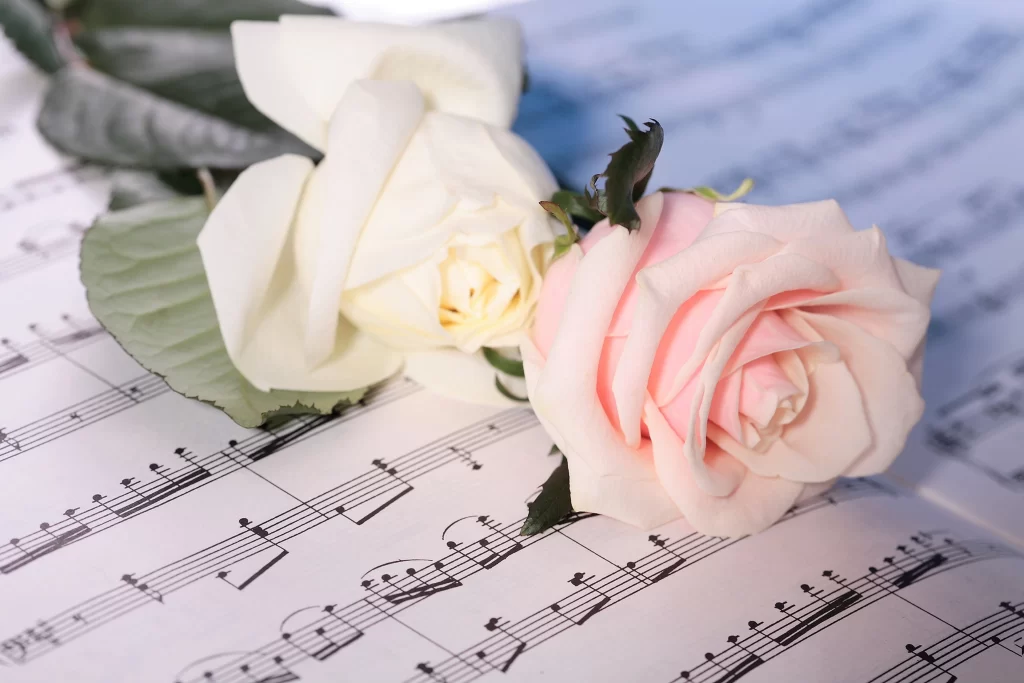 Pink Rose White Rose Petal Sheet Music