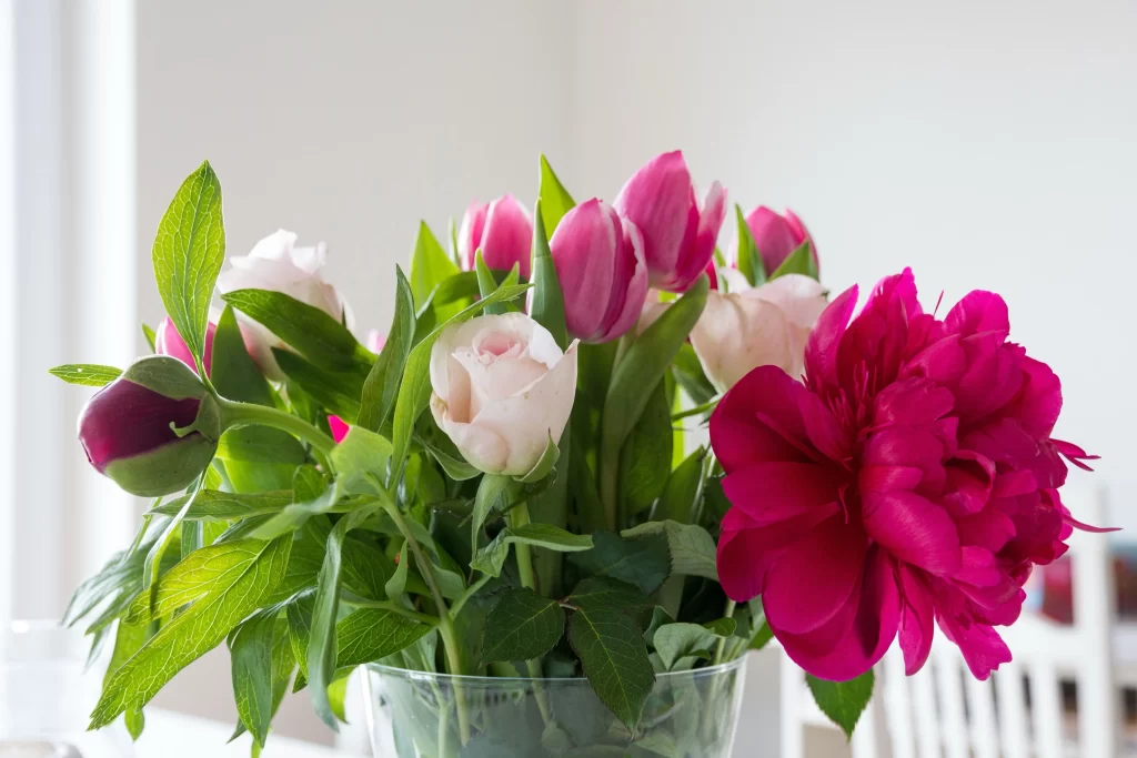 Pink Tulip Rose Peony Petals Green Leaves Vase