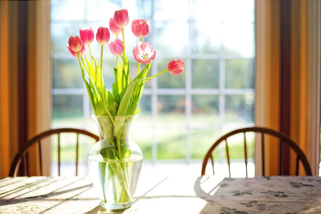 Pink Tulip Vase Sunlight Green Leaves