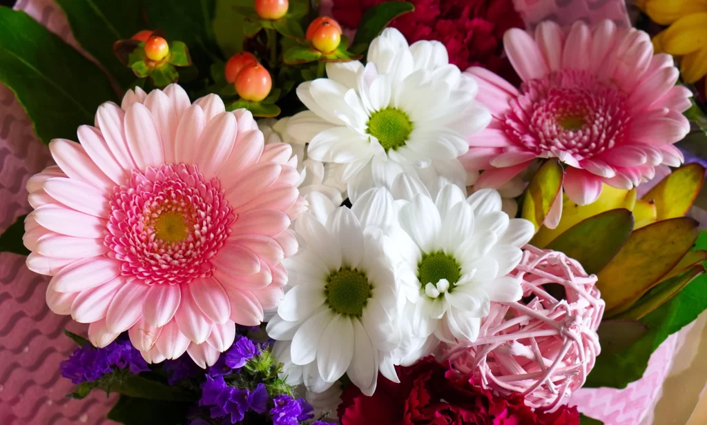 Pink White Purple Red Yellow Green