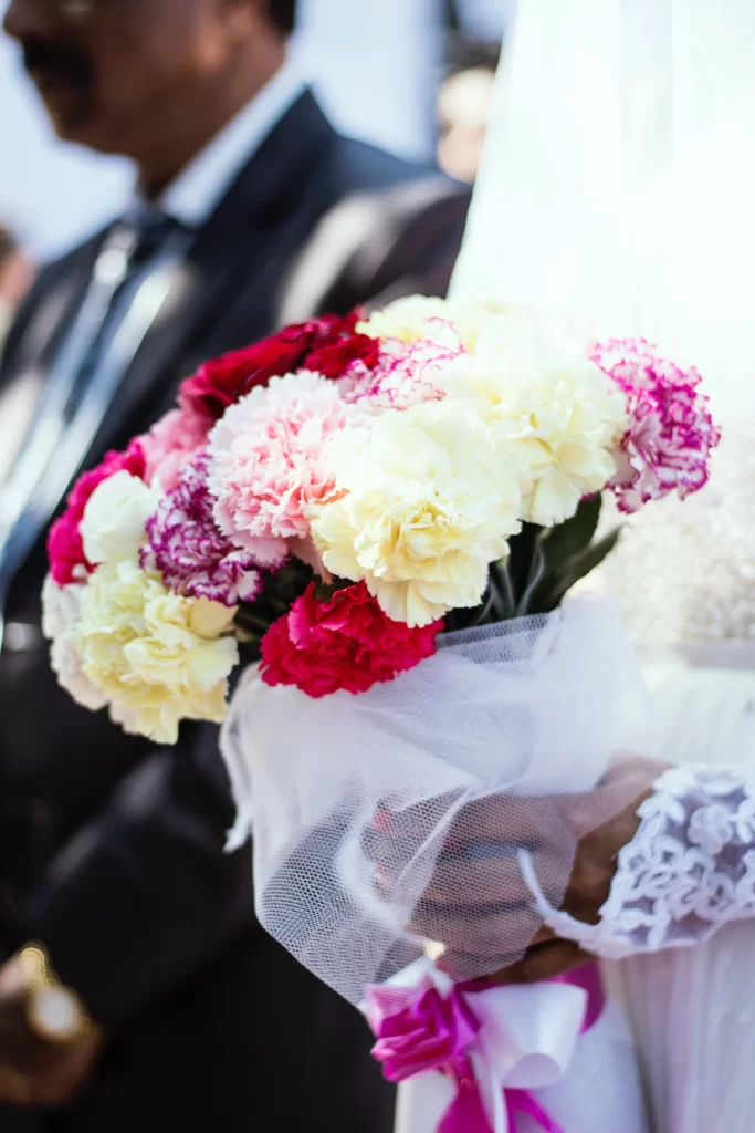 Pink White Yellow Carnation Bouquet Petals