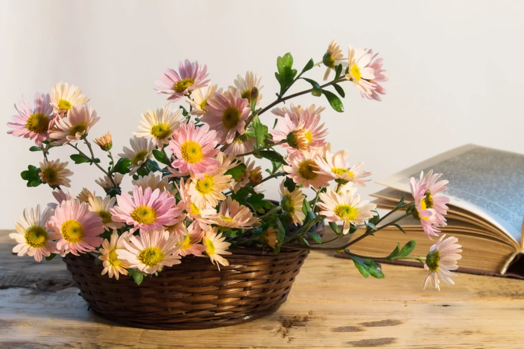 Pink Yellow White Petals Basket Blooming