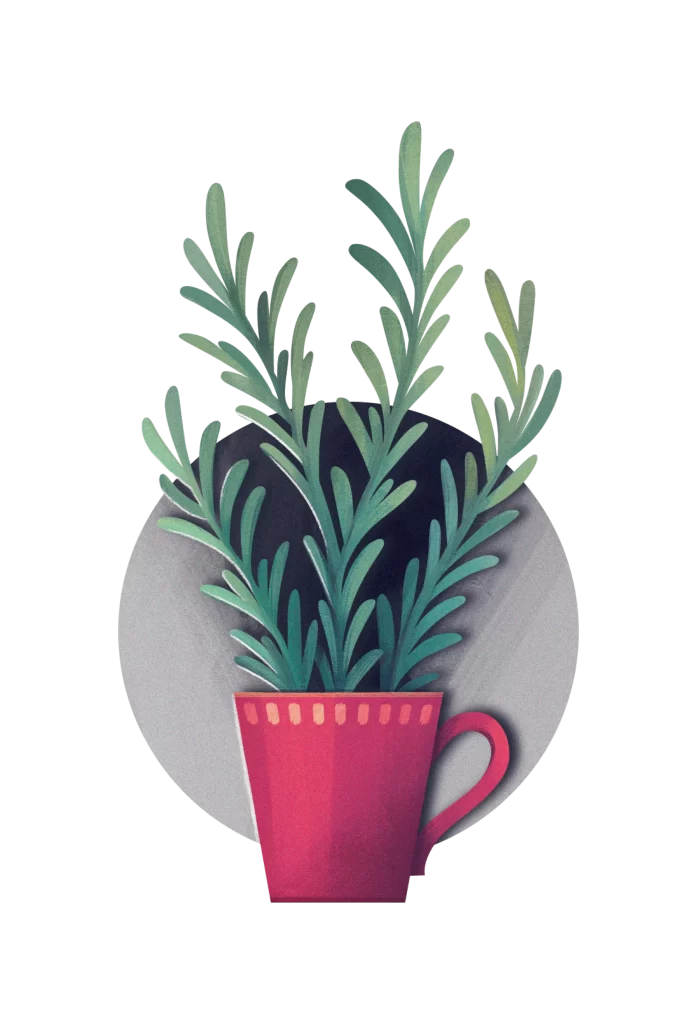 Plant Cup Greenery Leaves