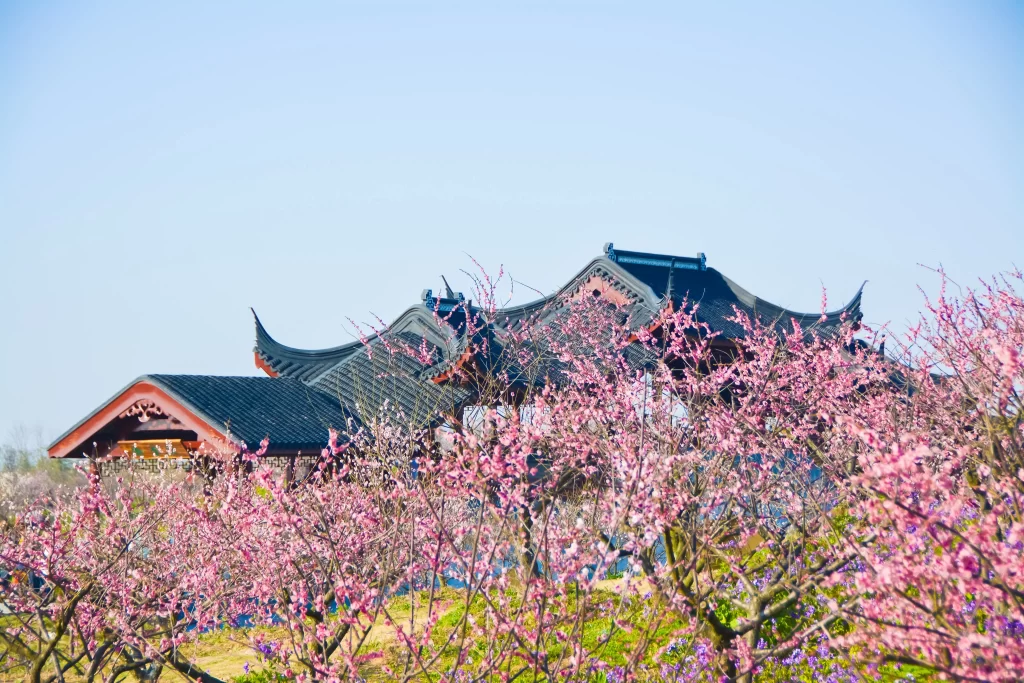 Plum Blossom Pink Purple Green Blue