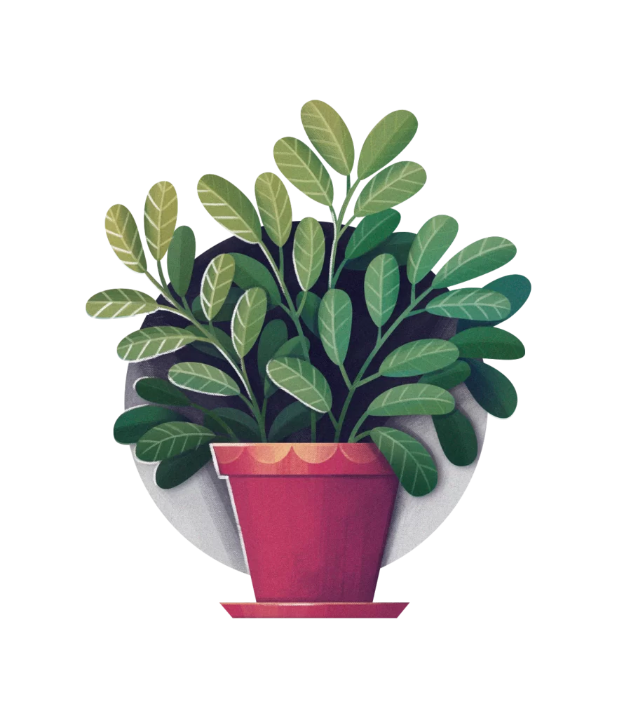 Potted Plant Green Leaves Red Pot