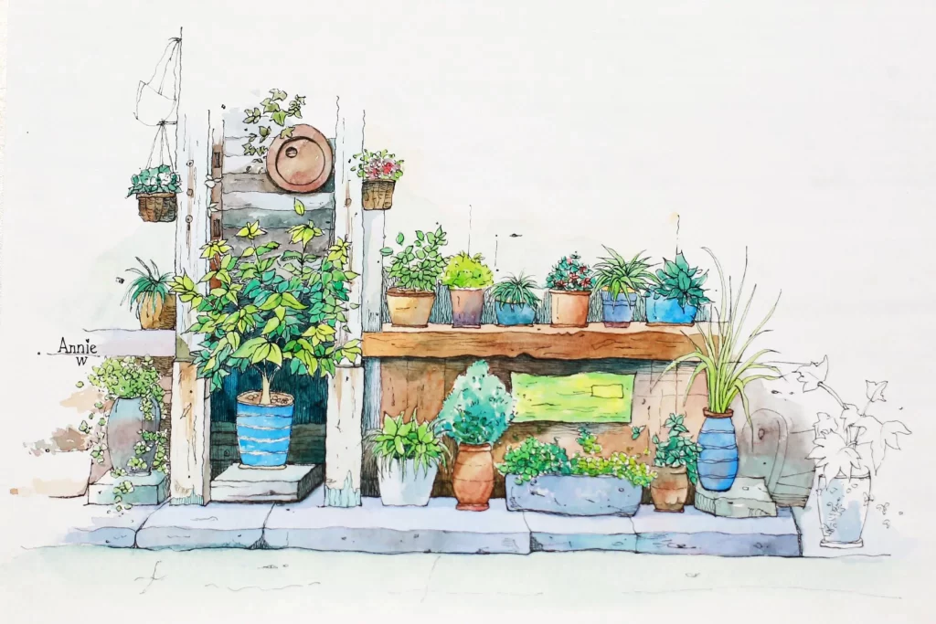 Potted Plants Garden Display Mateusz Urbanowicz