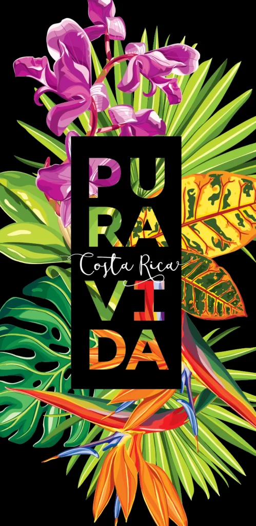Pura Vida Costa Rica Tropical Orchids Leaves