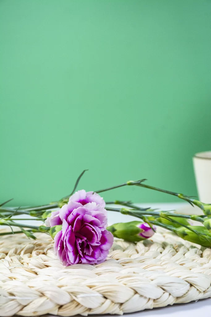 Purple Carnation Bloom Petals Greenery