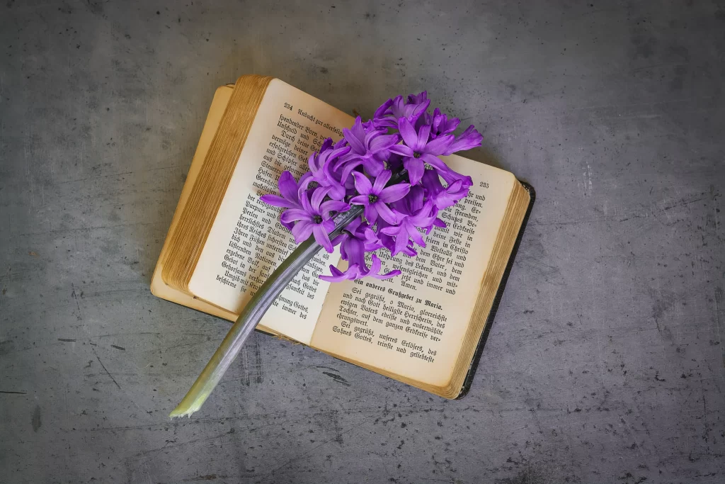 Purple Hyacinth Bloom Petals Book