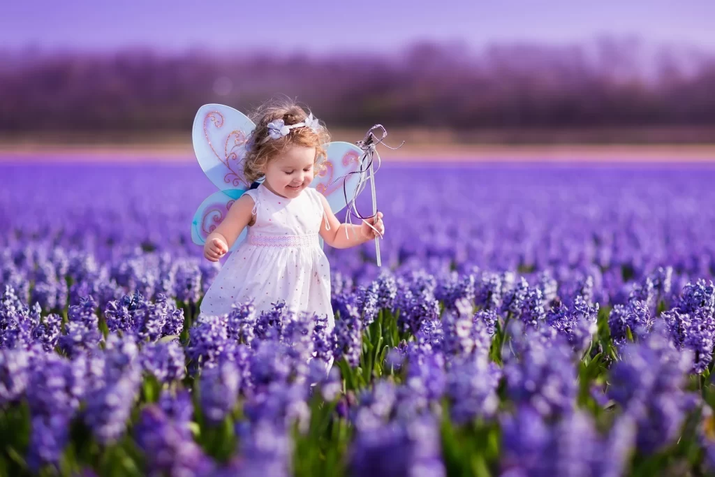 Purple Hyacinth Field Blooms Petals