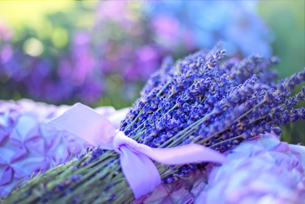 Purple Lavender Bouquet Petals Ribbon