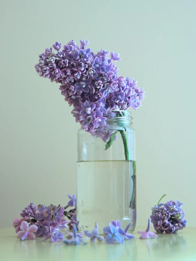 Purple Lilac Bloom Petals Vase