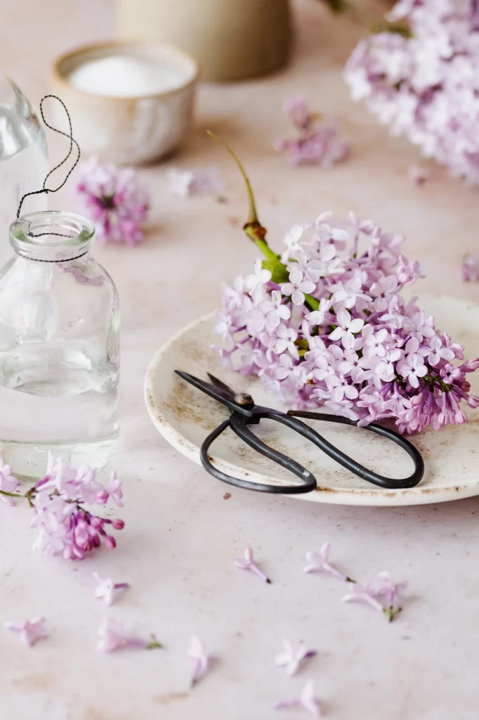 Purple Lilac Bloom Petals Scissors Vase