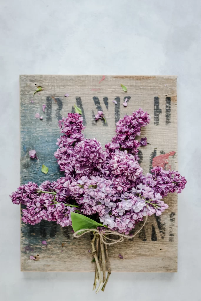 Purple Lilac Bouquet Petals Twine Wooden Background