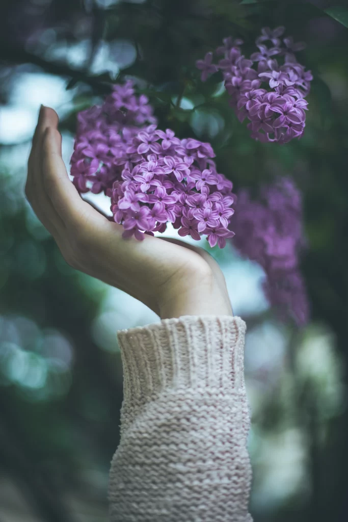 Purple Lilac Cluster Petals Hand