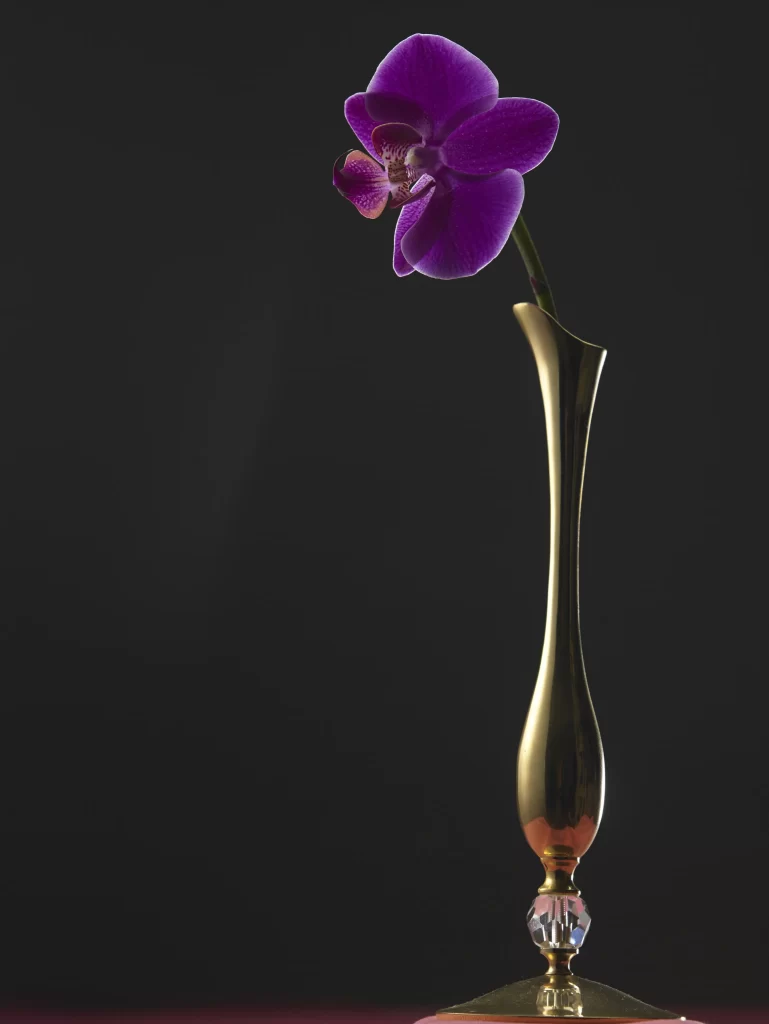 Purple Orchid Petals Vase Elegance