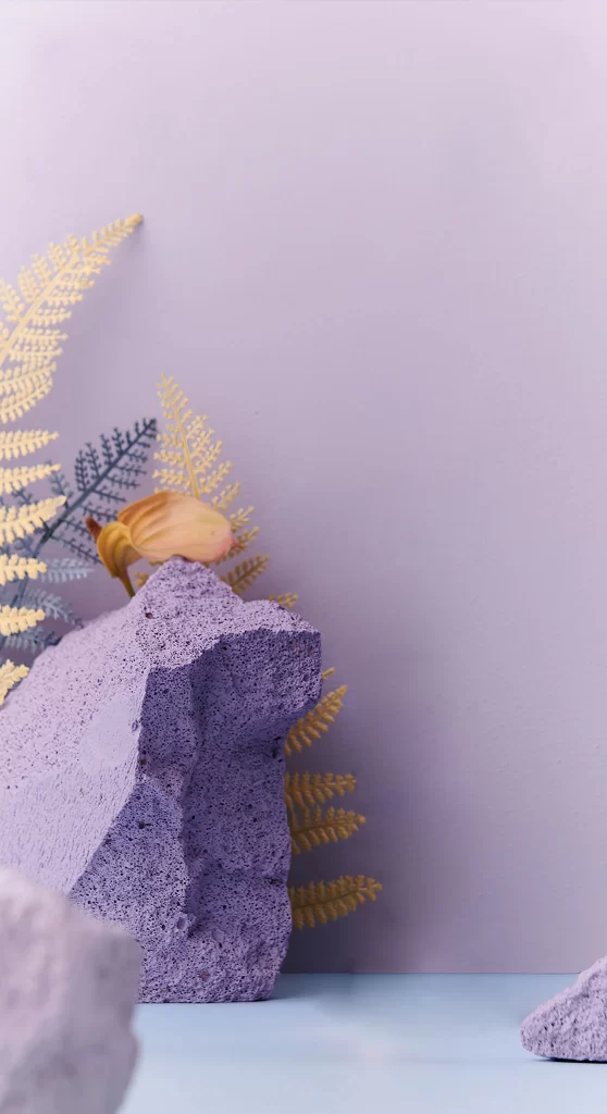 Purple Rock Nature Plant