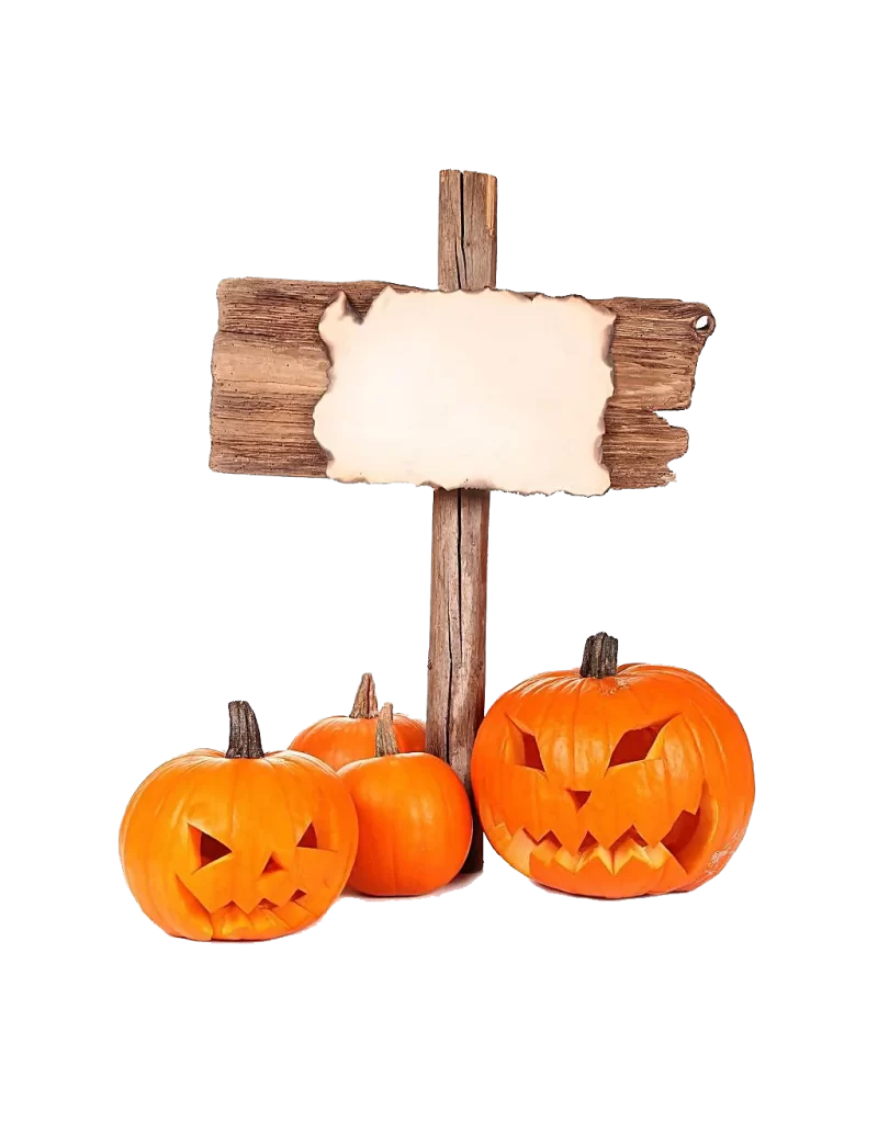 realistic orange carved face stem