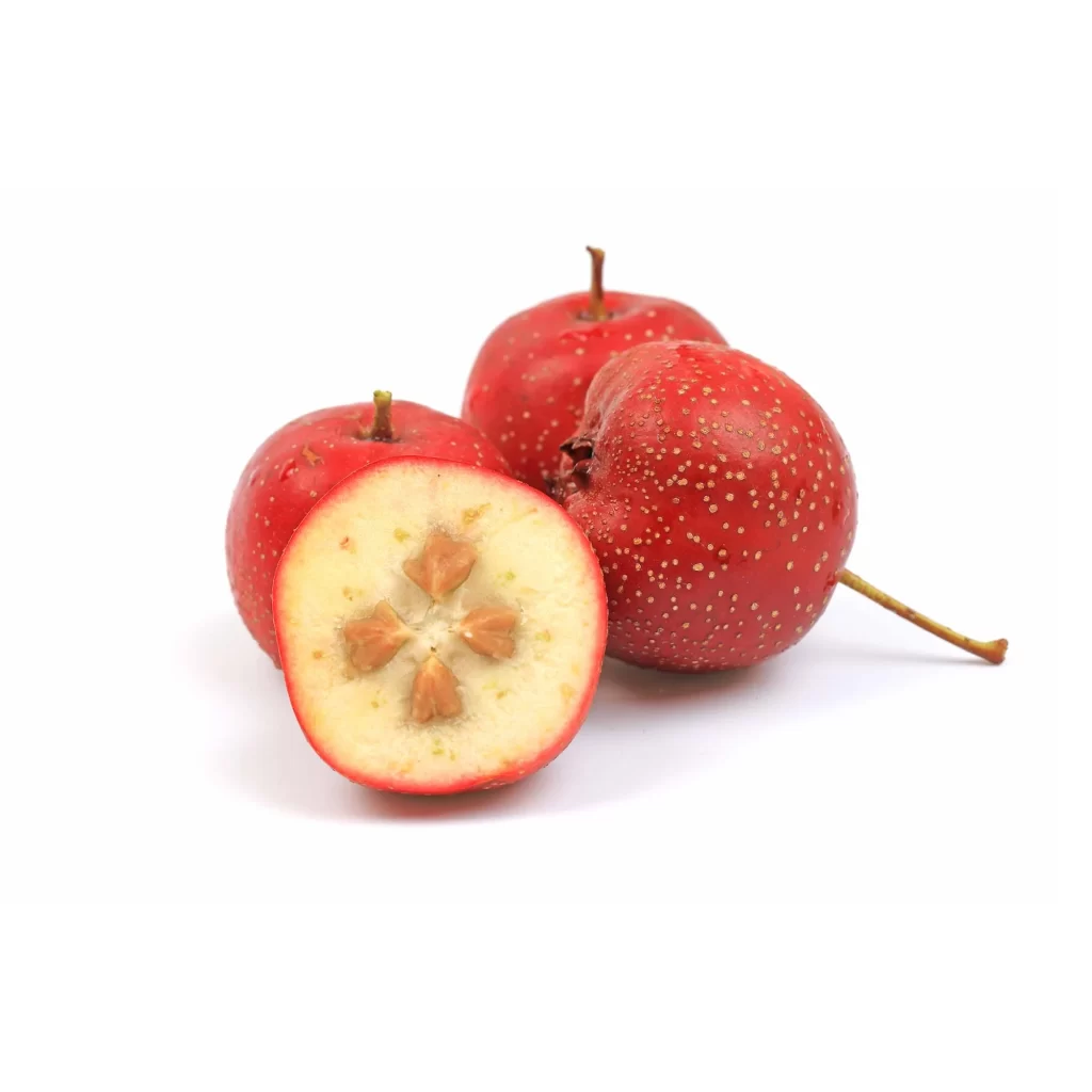 Red Apple Halves with Brown Seeds
