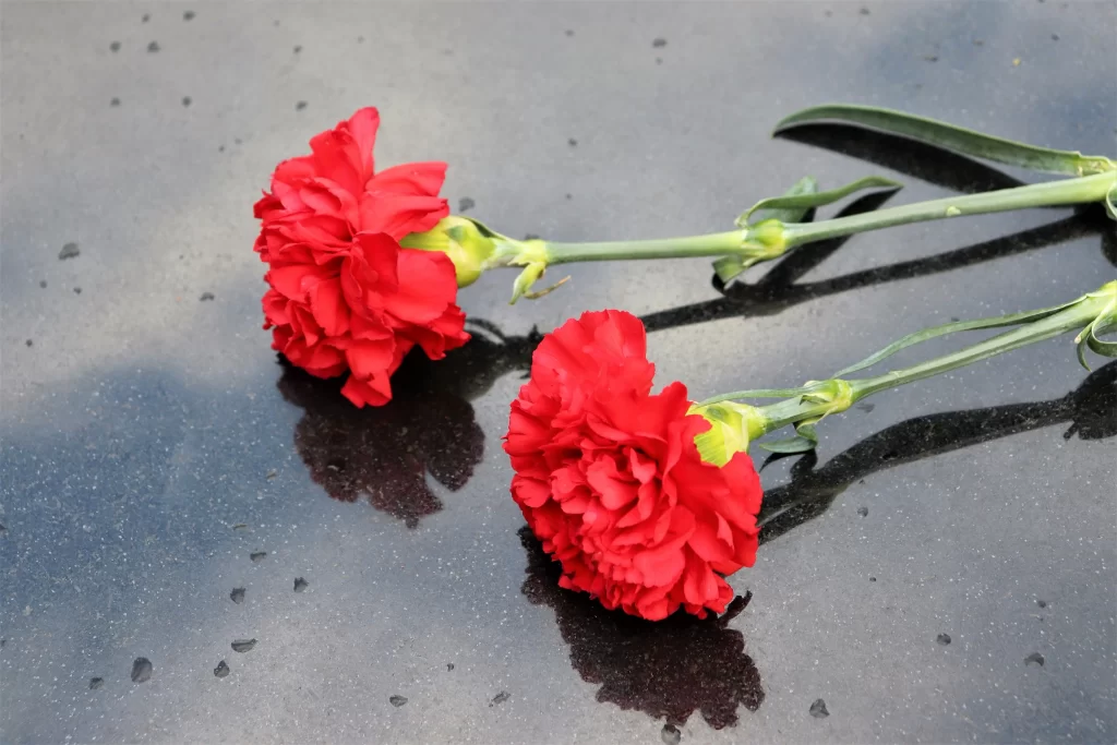 Red Carnation Petals Green gray Stems