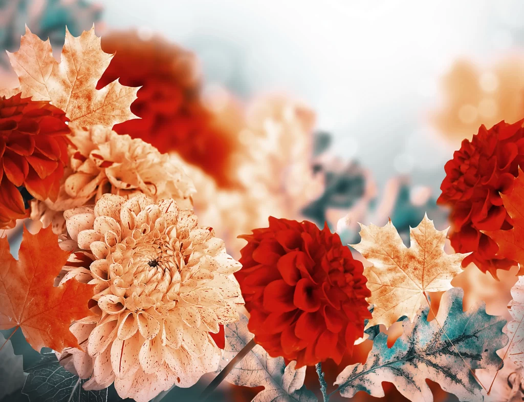 Red Dahlia Autumn Leaves Warmth Texture