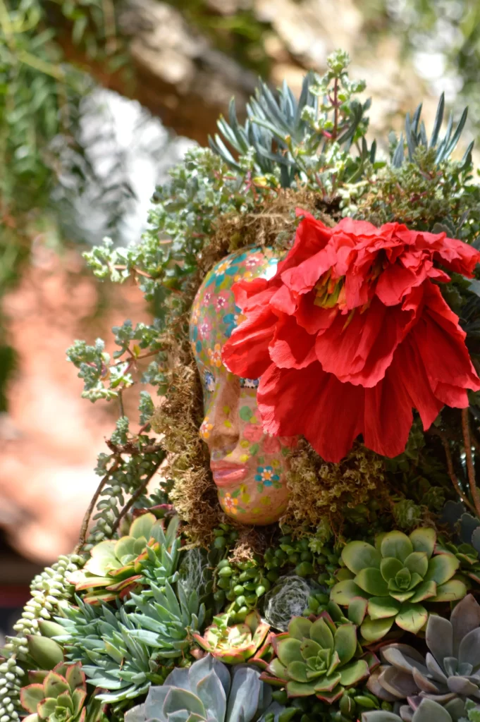 Red Flower Succulent Green Leaves Close Up