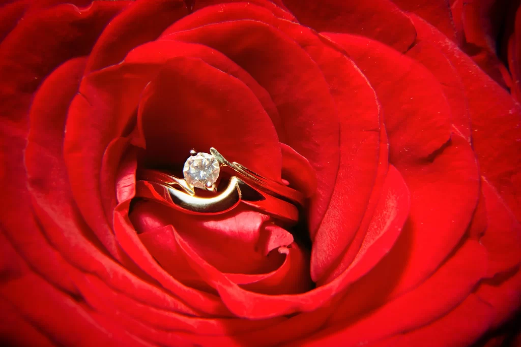 Red Rose Petals Gold Ring Diamond