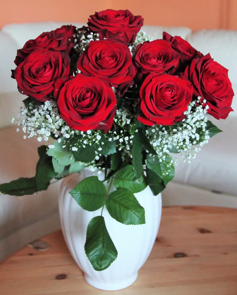 Red Rose Petals Green Leaves White warm Vase