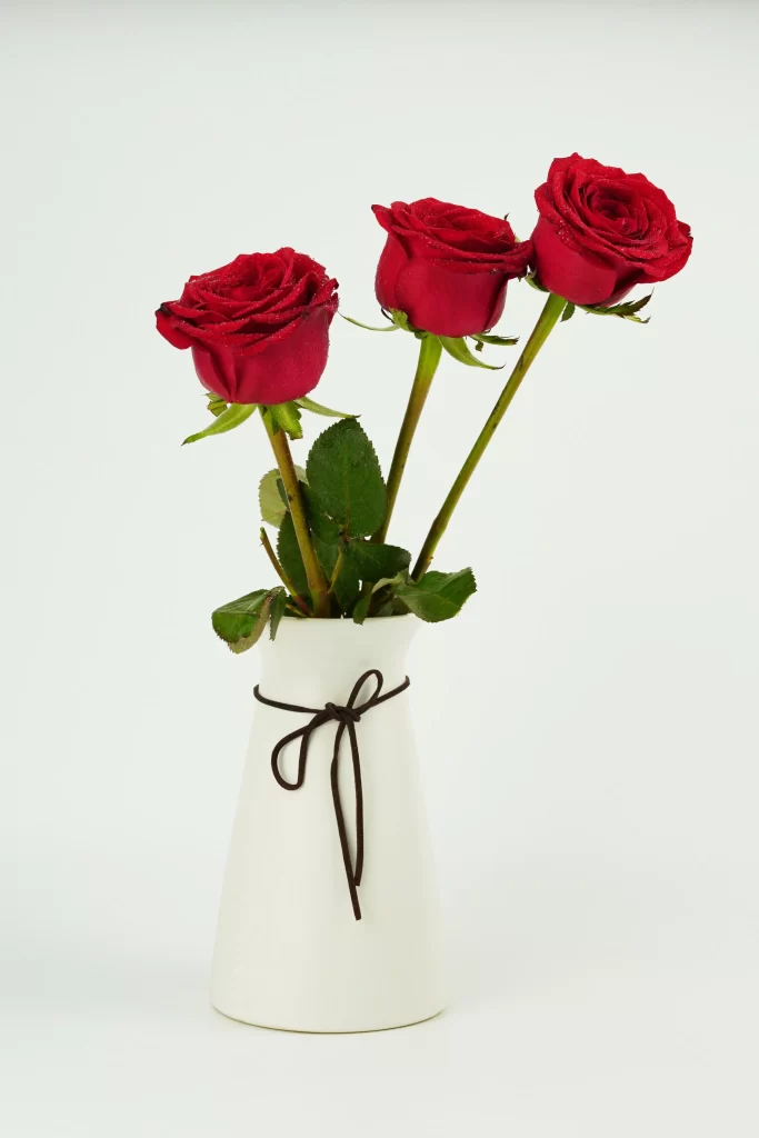 Red Rose Petals Green Leaves White Vase