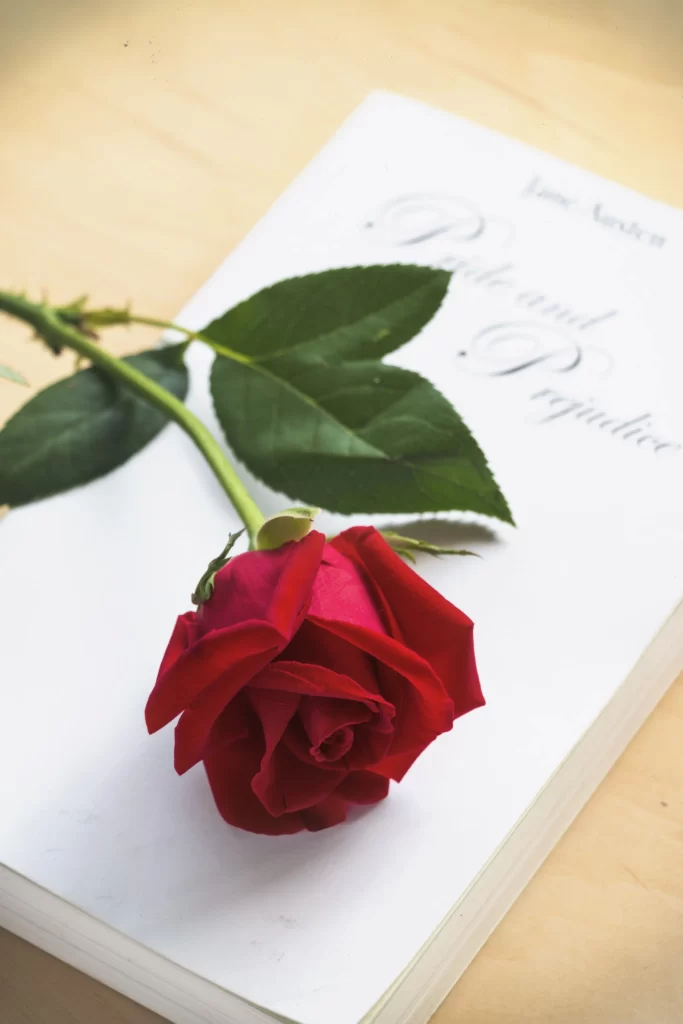 Red Rose Petals Green Leaves White Book