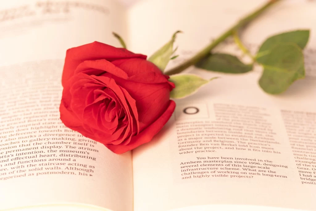 Red Rose Petals Green Stem Book