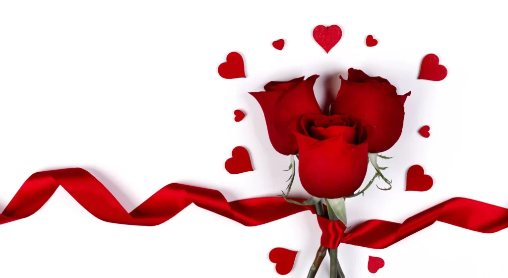 Red Rose Petals Green Stem White warm Background