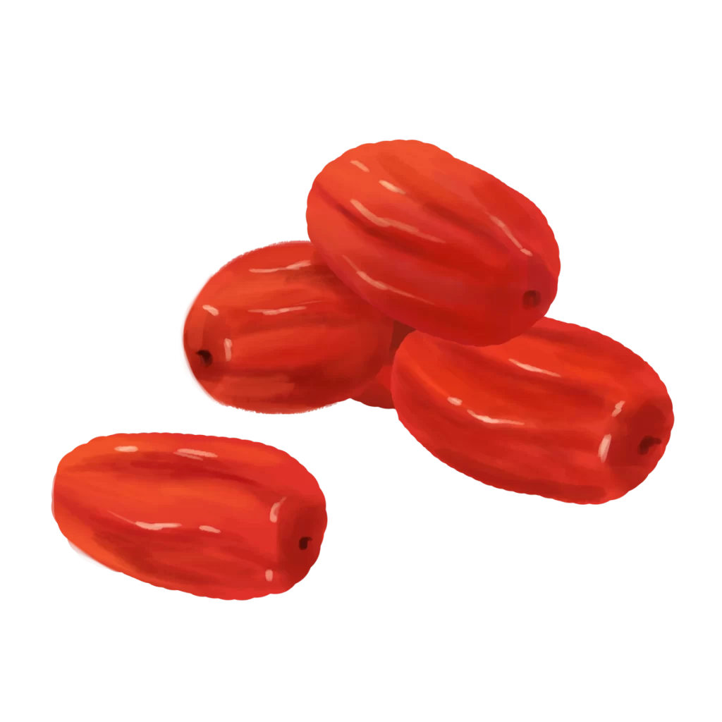 Red Seeds Shiny Oval Natural